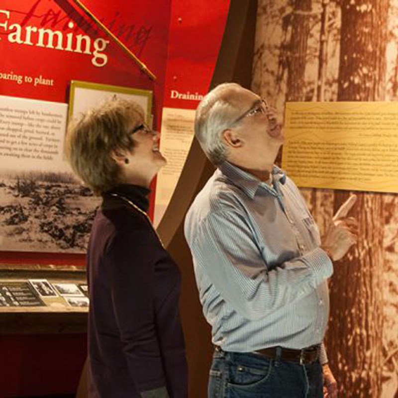 Couple looking up at exhibit