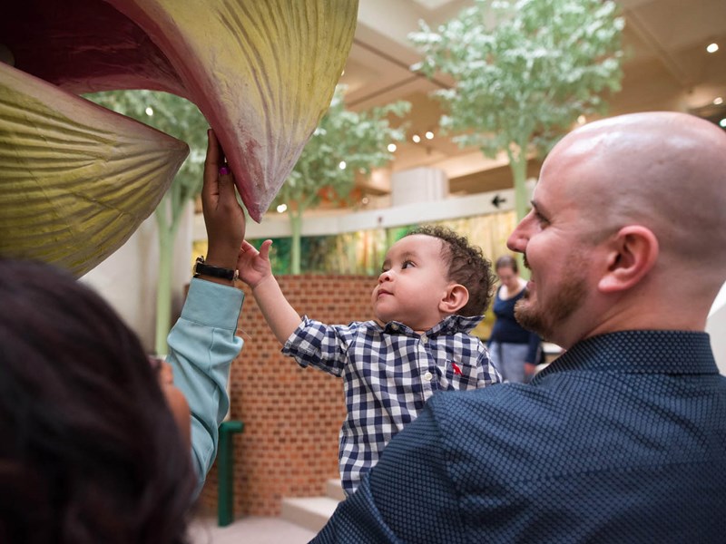 Kid and parent interacting with exhibit