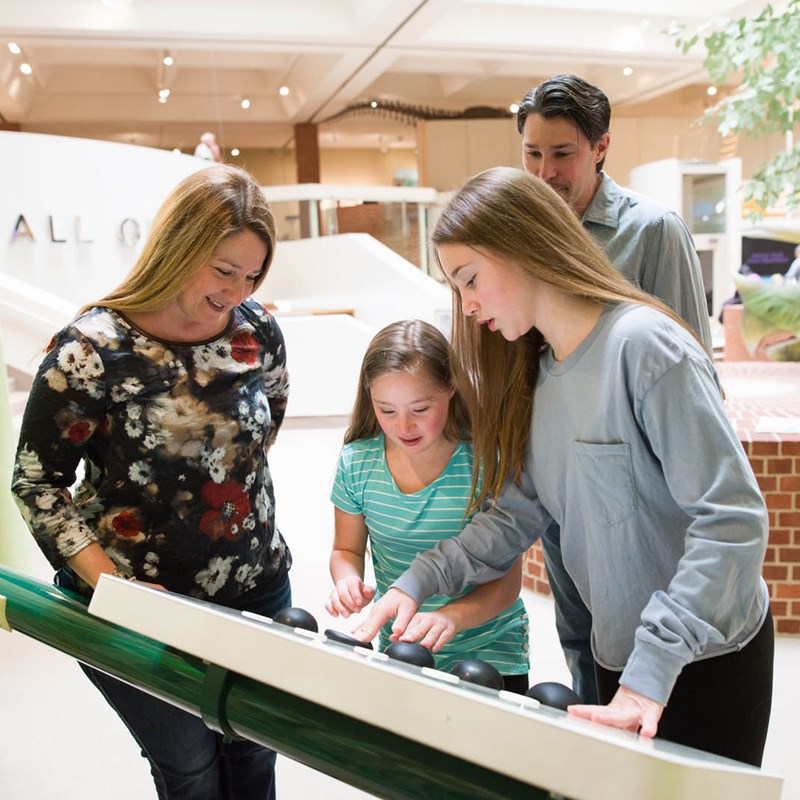 Family interacting with Exhibit